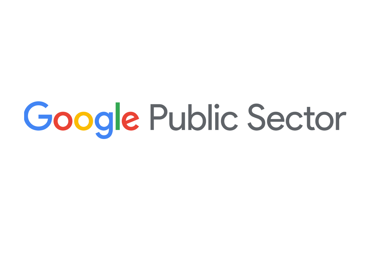 google public sector